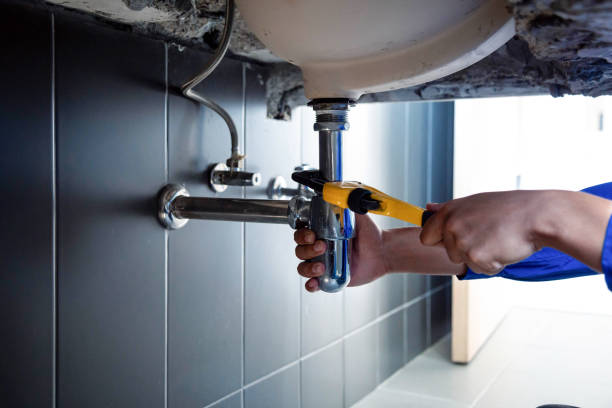 Best Emergency Plumbing Services in Maynardville, TN